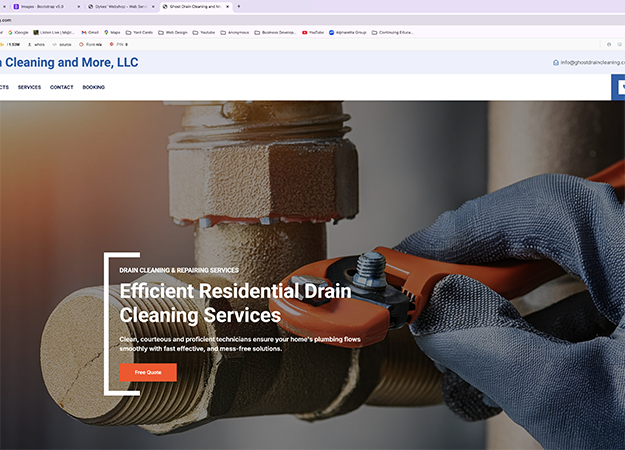 professional services website